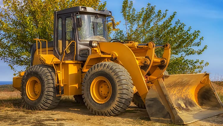 antek-1323443